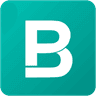Bigpicture io logo