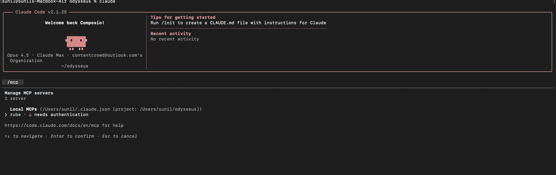 Run /mcp to view Rube in Claude Code
