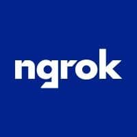Ngrok Logo