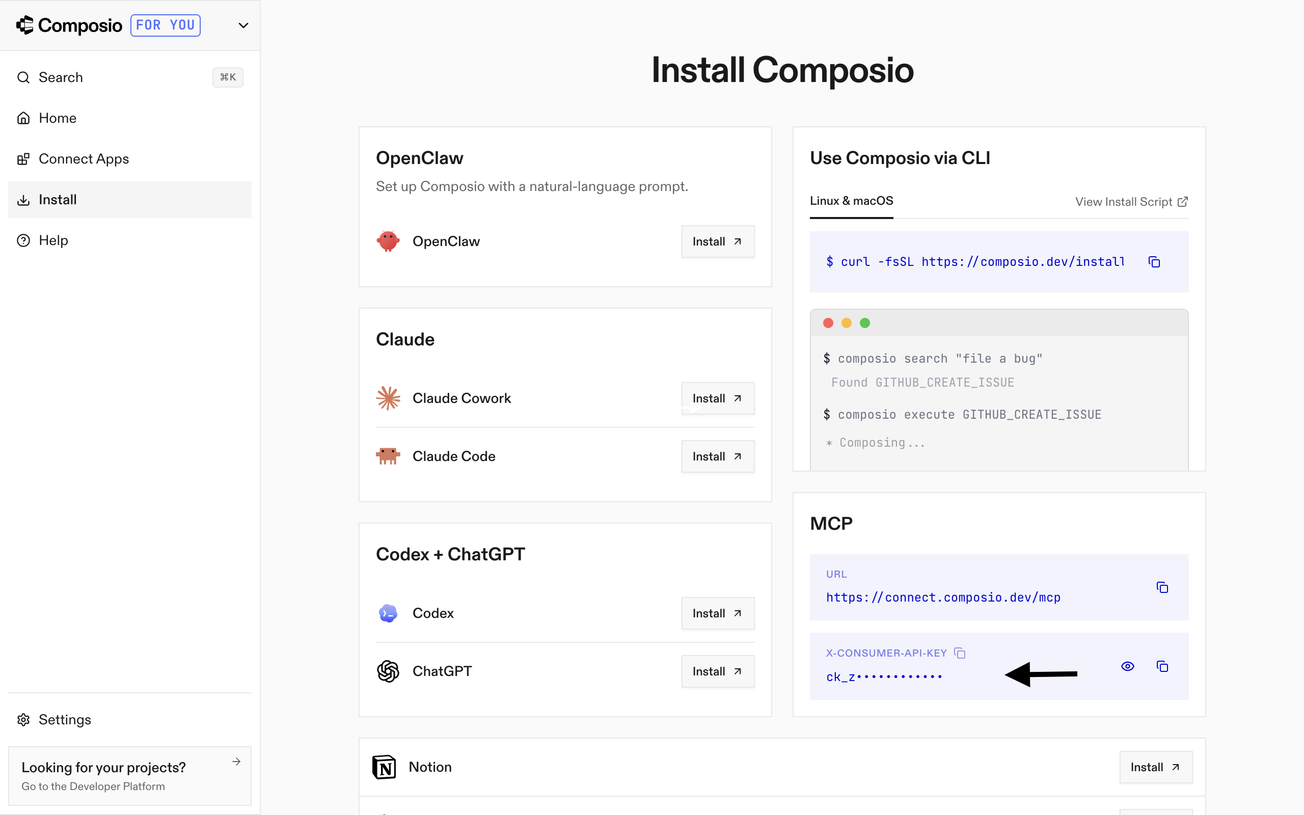 Composio Dashboard showing where to get the API key